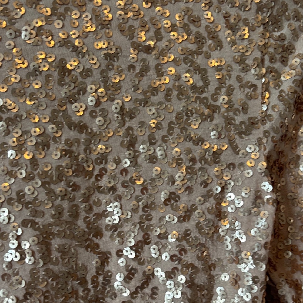 J Crew Rose Gold Sequin Top - Picture 5 of 5